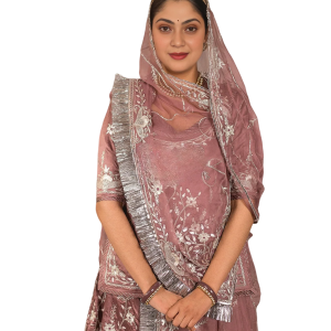 Brown Bamber Satin Aari Salma Work Poshak Set (Unstitched) | Pure Georgette Odhna | Jaipurio Ethnic Wear